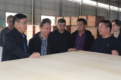 市林業(yè)局赴貴港、柳州等地開(kāi)展木材精深加工考察及招商引資活動(dòng)